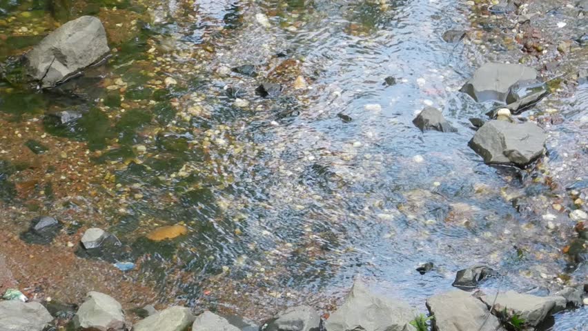 stream