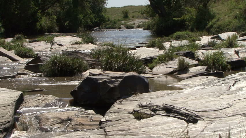 A scenic view of Hippopotamus as zoomed from downstream through rocks in the Masai Mara Kenya, Africa. 