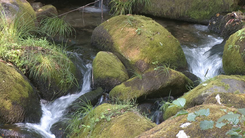 Beautiful small waterfall in forest