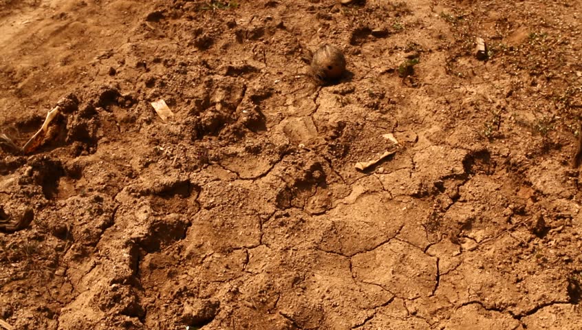 Soil ground