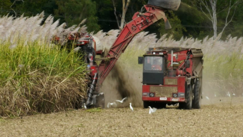 a sugar cane harvester and truck cut cane in far north Queensland, Australia