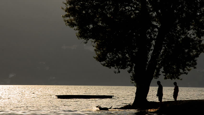 walk the dog on a lake