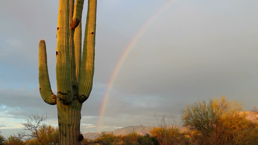 Time Lapse, Rainbow forms over giant saguaro cactus after desert rain, disappears as light flickers, clouds engulf sky. 1080p