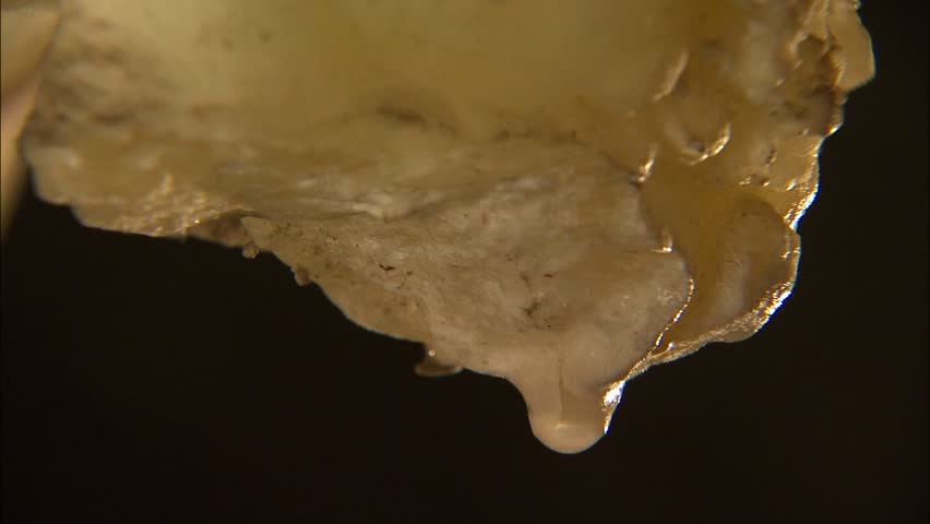 Drop of water on tip of stalactite in cave
