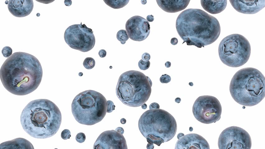 Blueberries falling down on white background (ends on green)