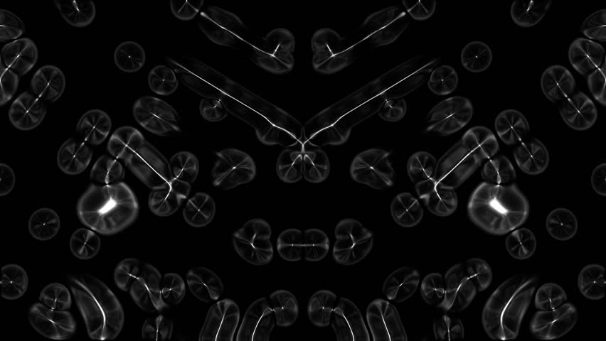 White Exotic And Bizarre multiverse Meta-Particles Dissolutions And Generations In two parallel universes