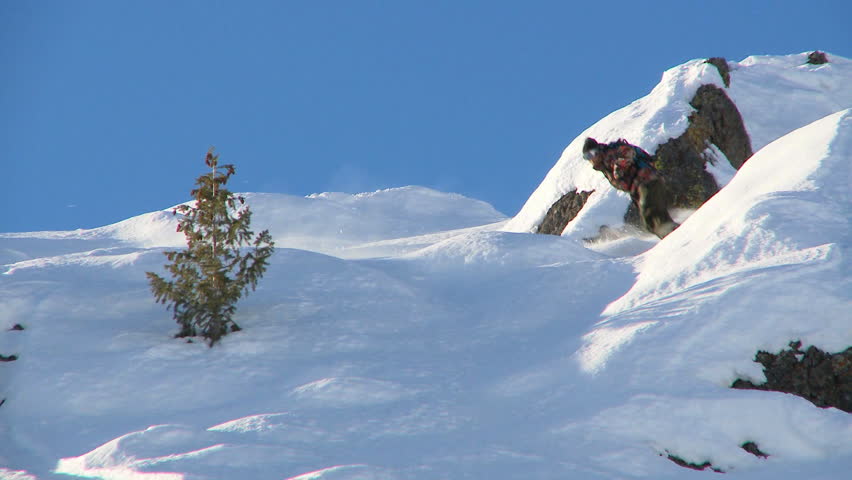 Male snowboarder carving through steep terrain