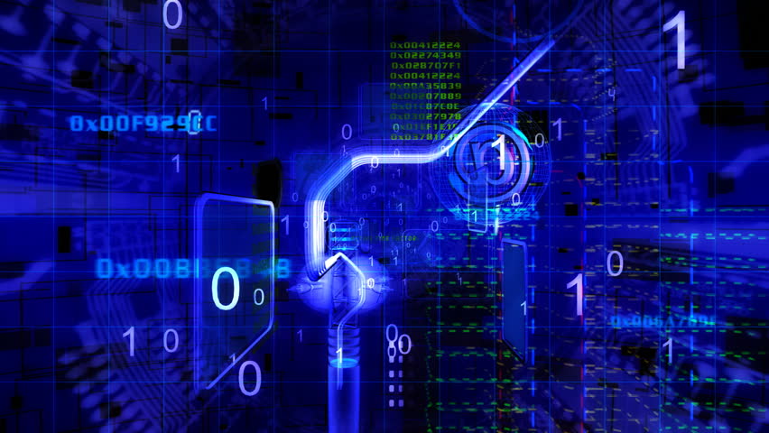 Cyberspace fly