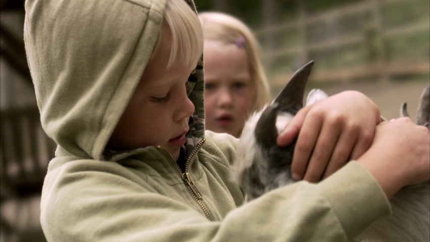 Children and goats at the zoo