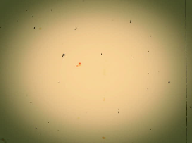NTSC - Dust and scratches on old film leader.

Formats available: HD-NTSC-PAL