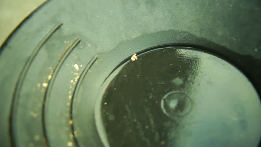 Panning for gold. Actual gold bits in pan.