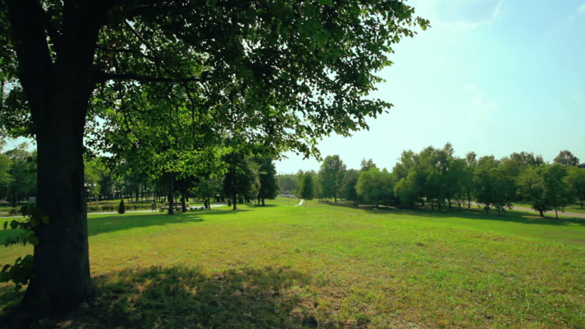 Park with green lawn.