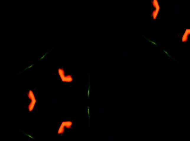 NTSC - Motion 223: Abstract forms pulse and flicker (Loop).

Formats available: HD-NTSC-PAL