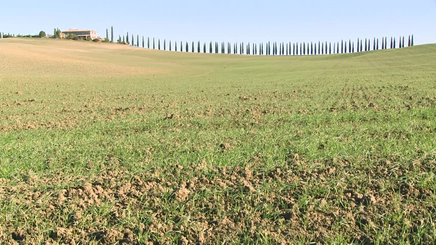 TUSCANY, ITALY-CIRCA 2011-A wide shot of a farm villa with long rows of trees in Tuscany, Italy.