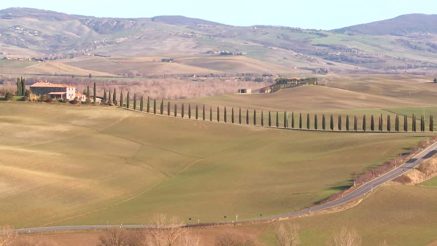TUSCANY, ITALY-CIRCA 2011-A wide shot of a farm villa with long rows of trees in Tuscany, Italy.