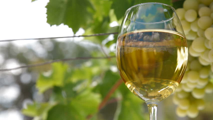 Glass of white wine and bunch of muscat white grapes