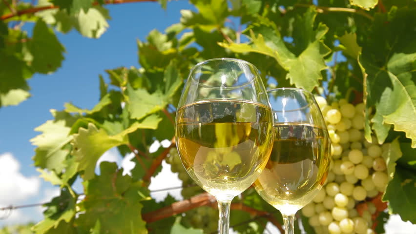 Two glasses of wine and bunch of muscat white grapes