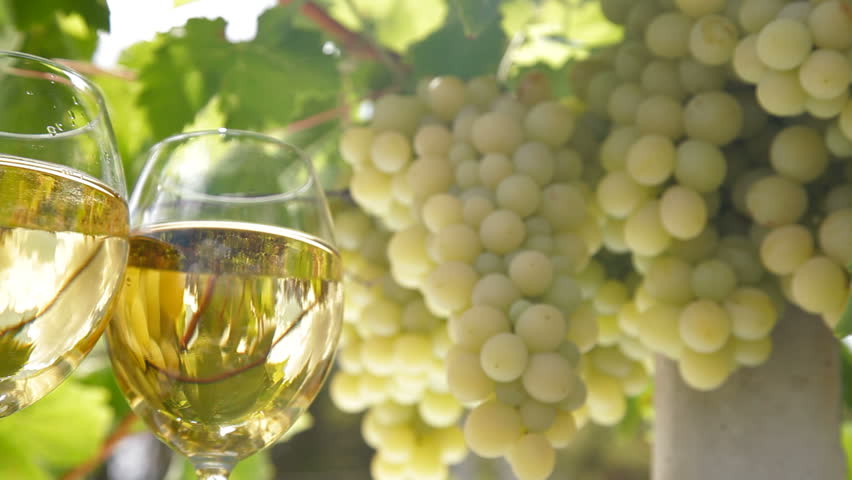 Two glasses of white wine and bunch of muscat white grapes, tracking shot