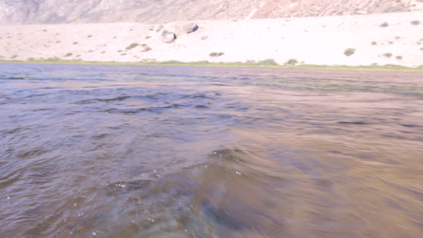 Waterline transition shot of arctic chars (Salvelinus alpinus) in clear water stream, Greenland