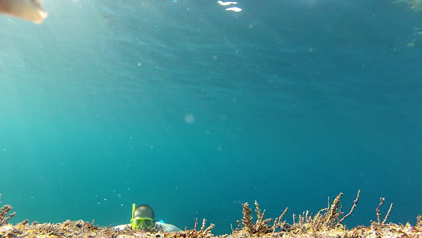 Man diving with fish in the water.

