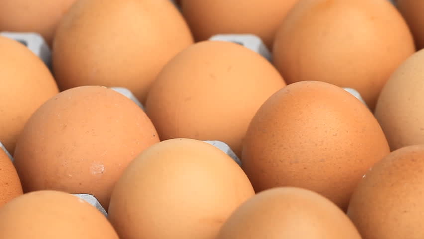 Eggs on a tray rotation.
