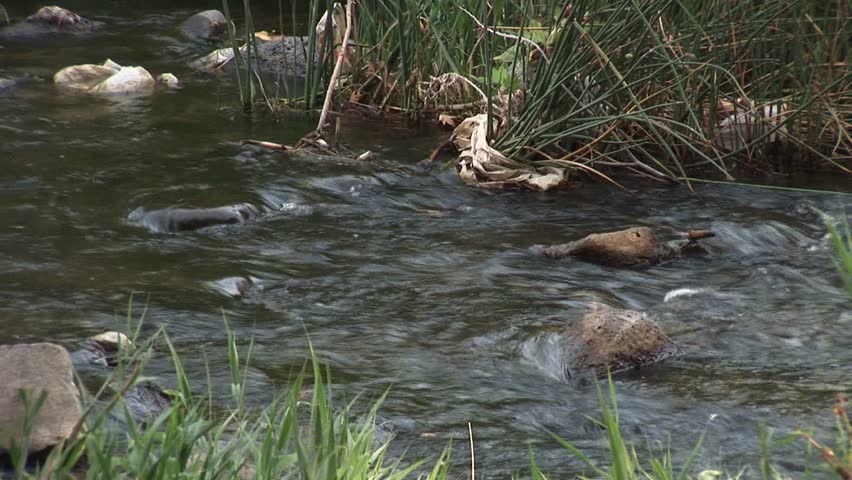 river, Stream,