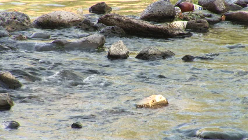 river, Stream, sun fleck water surface,