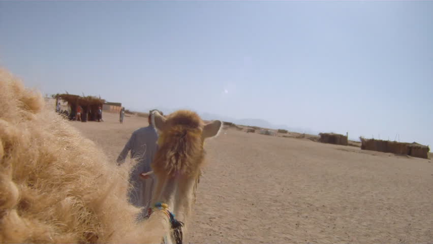 pov tourist rides camel through the Sahara Desert  05/07/2011 