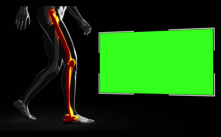 Walking human figure with various highlighted parts with copyspace on black background