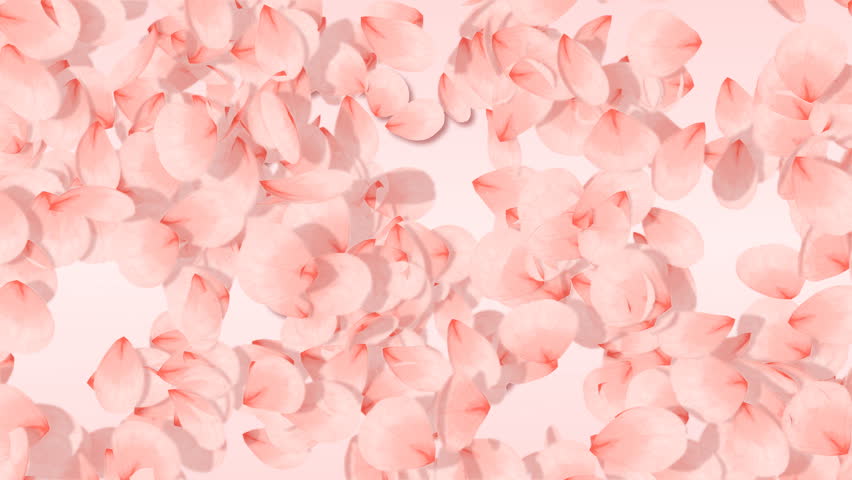 pink petals heart on soft rose-colored background 