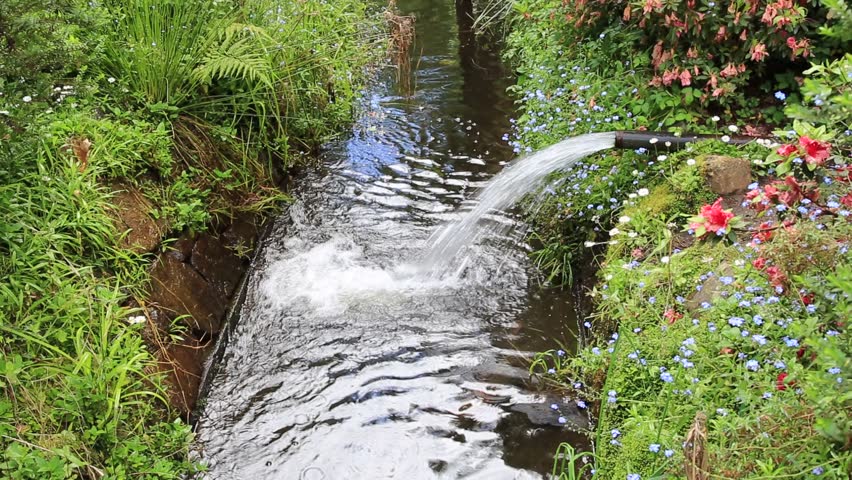 Gushing stream of water amid greenery