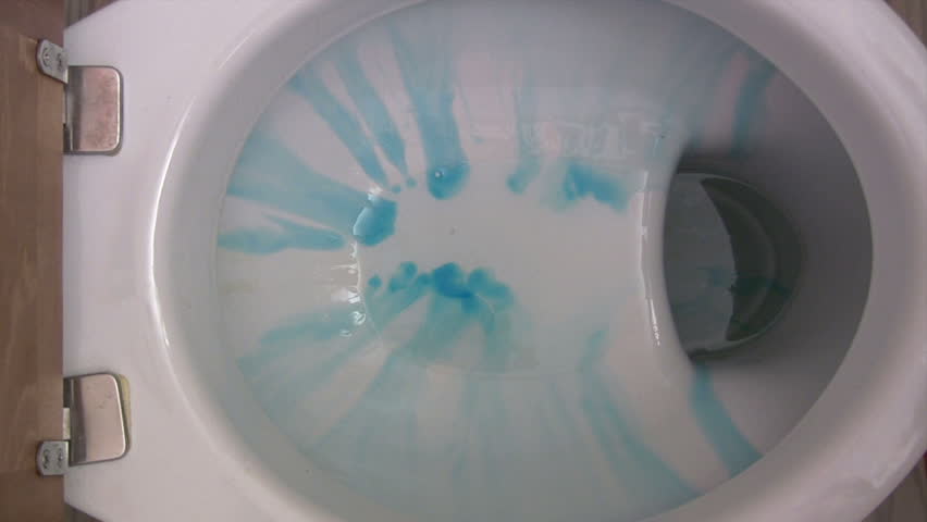 Scrubbing the Toilet