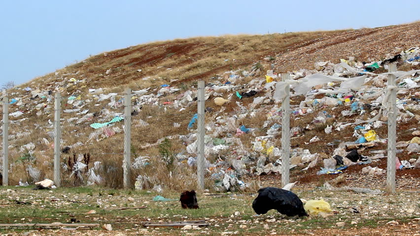 City landhill in the morning

Description: View on landfill with residential blocks in the distance

