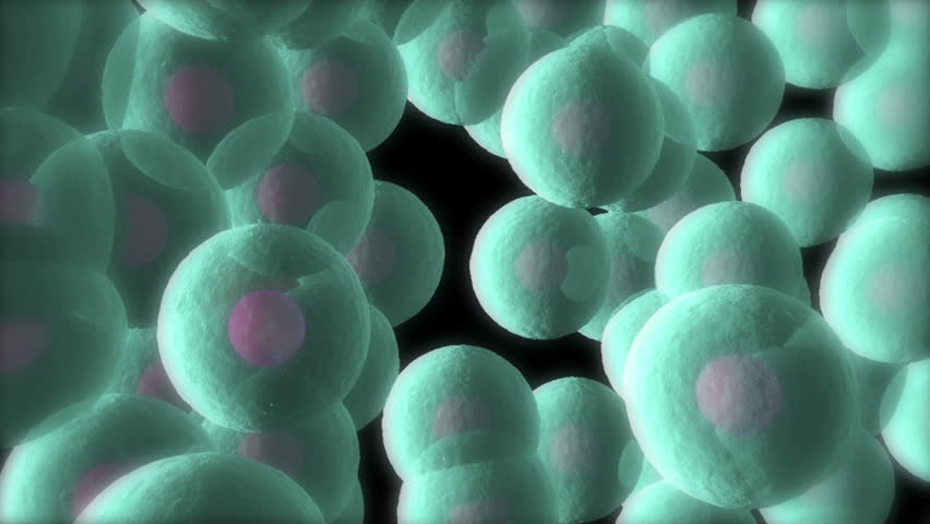 Aqua coloured semi transparent cells showing nucleus moving with black background