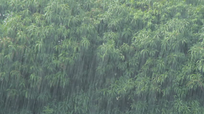 very heavy tropical rain