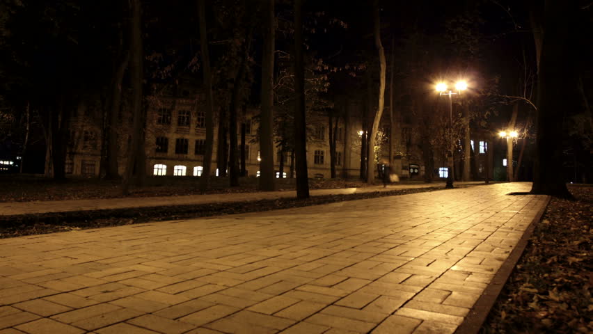 Mystical figures of people in night park. HDR Time lapse