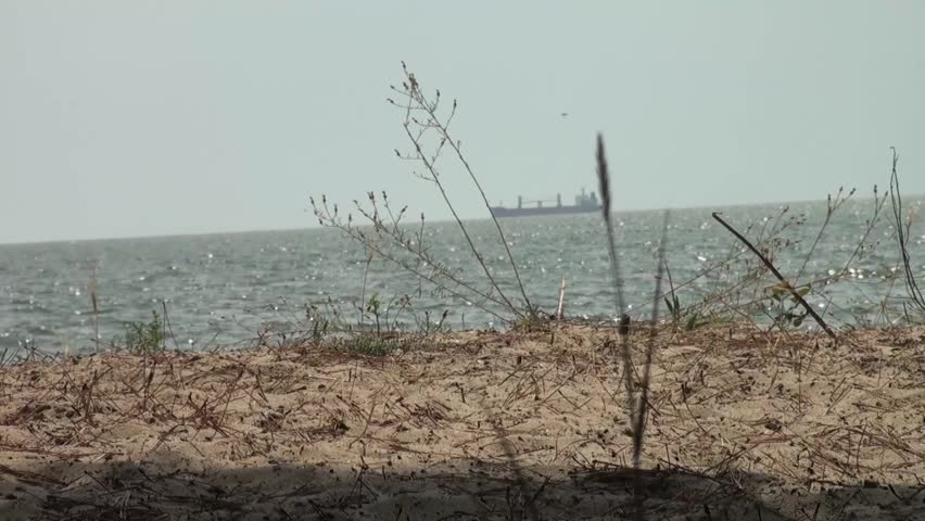 Cargo ship runs slowly in a light haze on the horizon