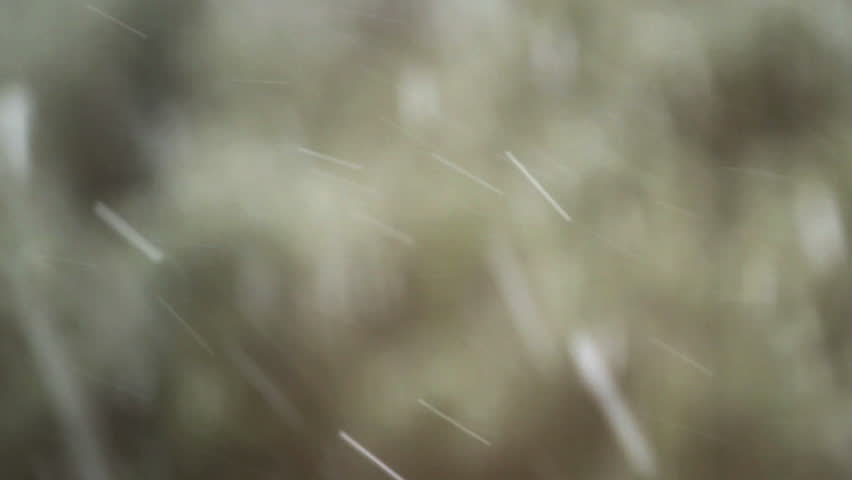 Snow Falling - Lots of Variety 2