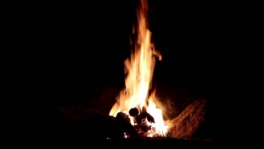 Bonfire burning  trees at night,Bonfire burning brightly , heat, light,camping,big bonfire