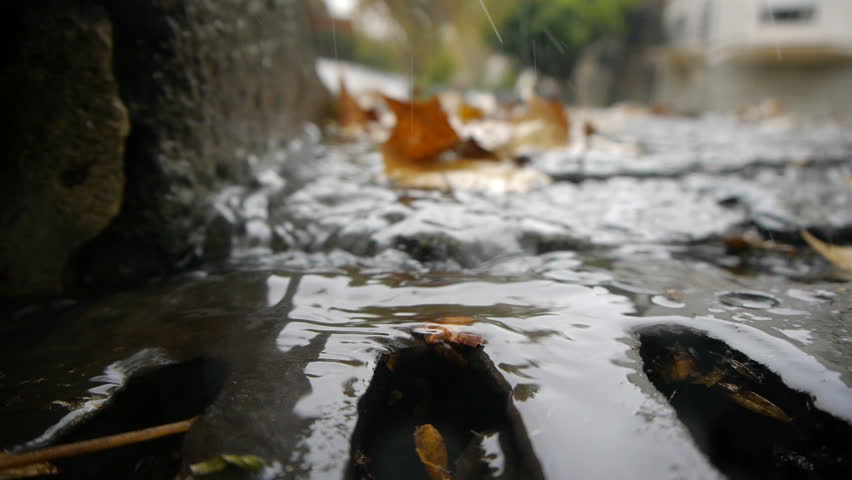 Autumn Rain. Rain drops falling over leaves, stream sunning to the sewer. Close up. Street puddle. Shallow DOF.