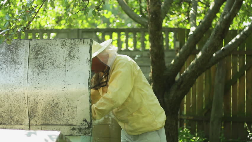 Beekeeper working in his apiary