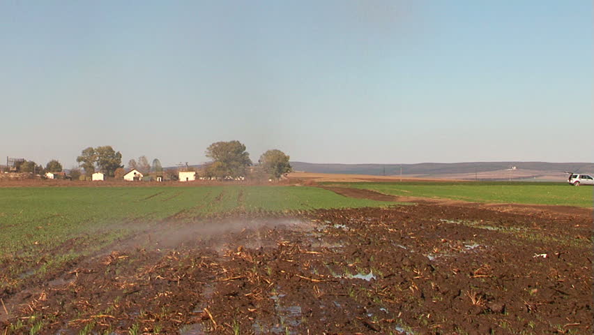 Pivot irrigation in progress on a wheat farm.
