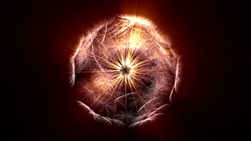Dandelion playground shine,looping