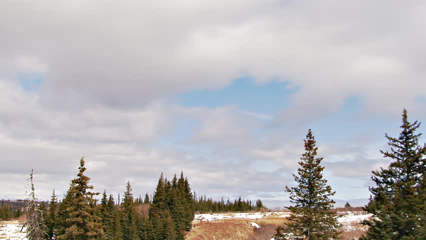 Clouds and Trees East Landscape Cloudlapse fast