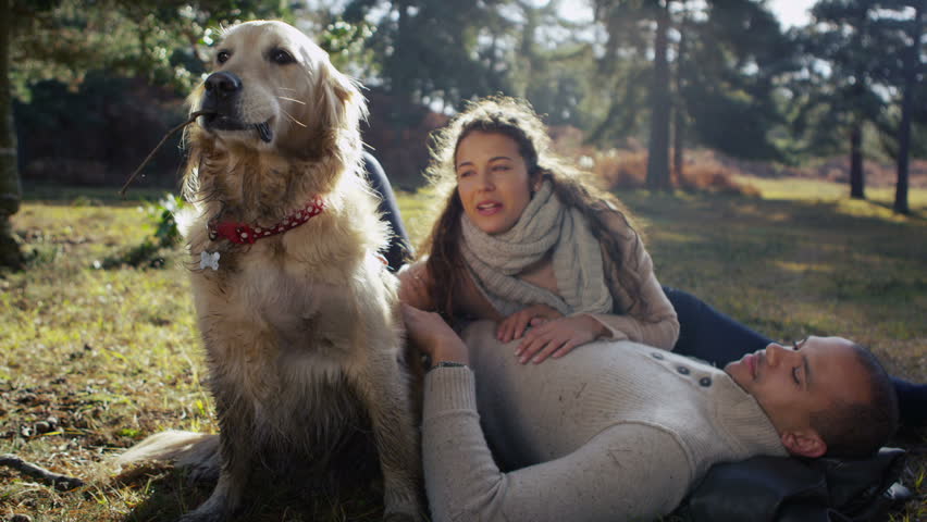 A man and a woman affectionately stroking their pet dog as they relax together outdoors and enjoy the early morning sunshine. In slow motion.