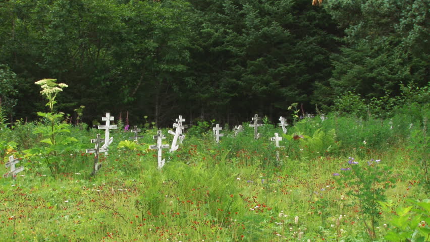 Panning right to left across a burial ground with timeworn crosses and wildflowers.