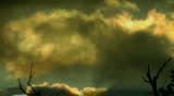 Terrible and poisonous clouds floated over a rotten bog