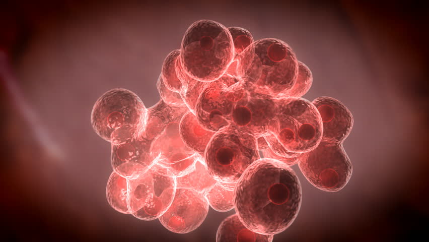Cell Mitosis
Cellular division and growth of some cell like lifeform. Stylized Animation
