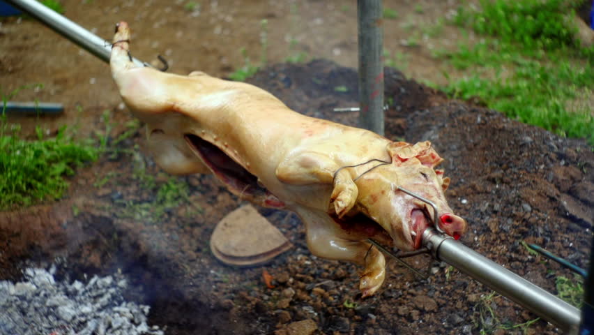 SUPER 35MM CAMERA - Pig on a spit turning slowly