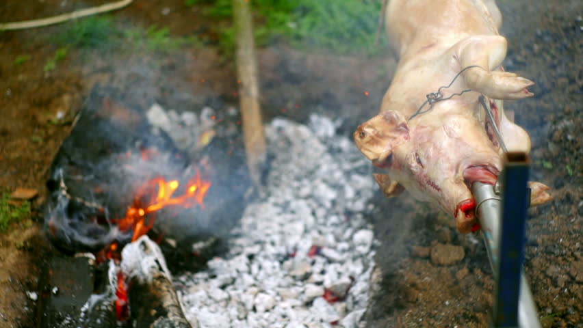 SUPER 35MM CAMERA - Tasty pig on a spit. 
